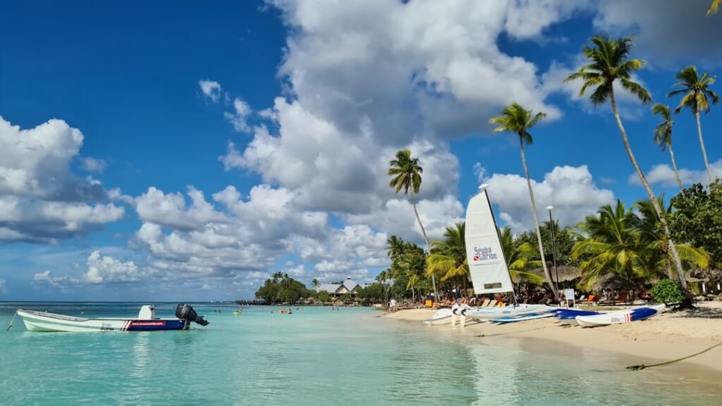 a beach with boats and palm trees on a sunny day