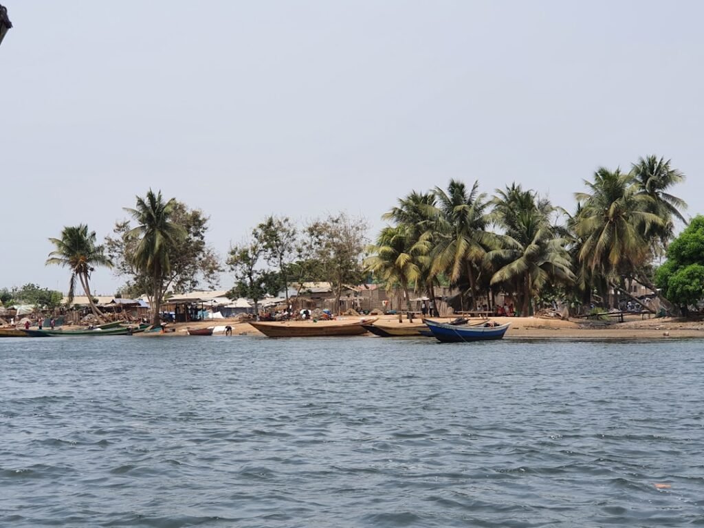 a body of water surrounded by palm trees