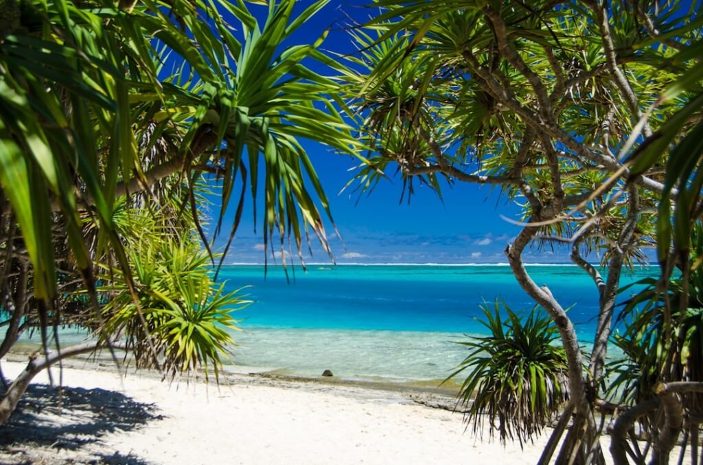 A sandy beach with palm trees and blue water
