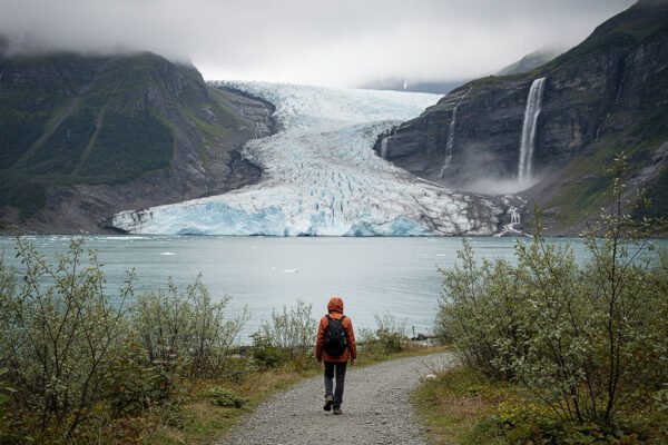 Juneau Cruise Port: How to Spend the Perfect Day